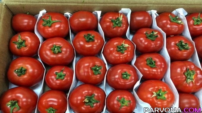 ​Rossiya O`zbekistondan kelgan 19 tonna pomidorni qabul qilmadi